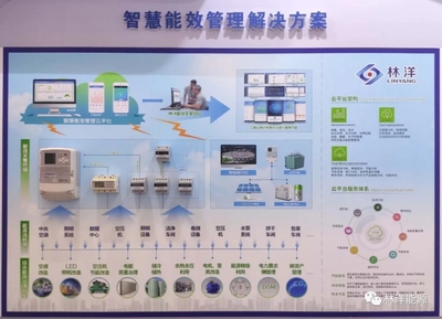 共襄盛會(huì)謀發(fā)展，林洋助力儀器儀表行業(yè)創(chuàng)新升級(jí)